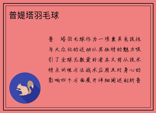 普媞塔羽毛球